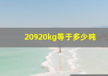 20920kg等于多少吨