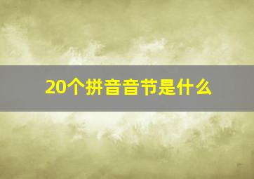 20个拼音音节是什么