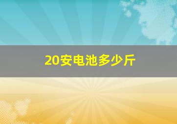 20安电池多少斤