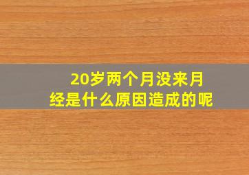 20岁两个月没来月经是什么原因造成的呢