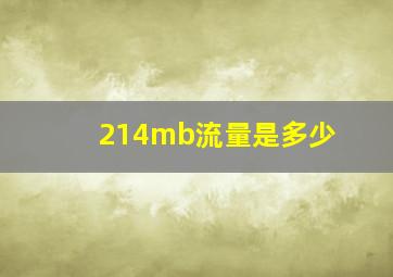 214mb流量是多少