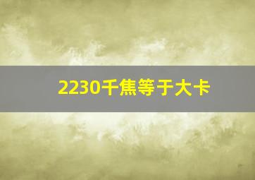 2230千焦等于大卡