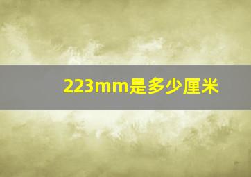 223mm是多少厘米