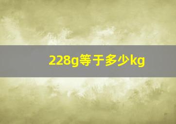 228g等于多少kg