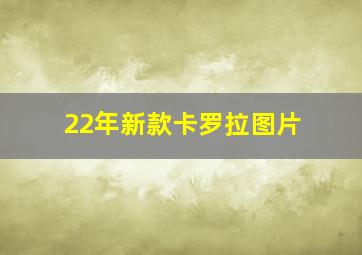 22年新款卡罗拉图片