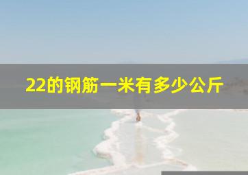 22的钢筋一米有多少公斤