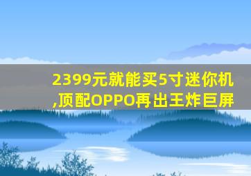 2399元就能买5寸迷你机,顶配OPPO再出王炸巨屏