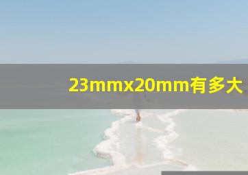 23mmx20mm有多大