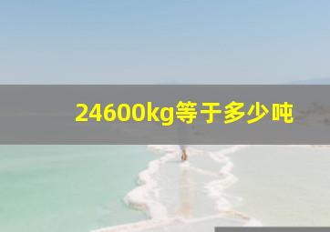 24600kg等于多少吨