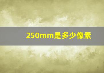 250mm是多少像素