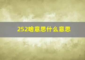 252啥意思什么意思