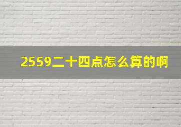 2559二十四点怎么算的啊