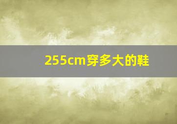 255cm穿多大的鞋