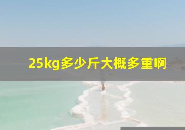 25kg多少斤大概多重啊