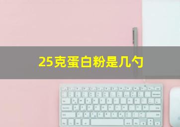 25克蛋白粉是几勺