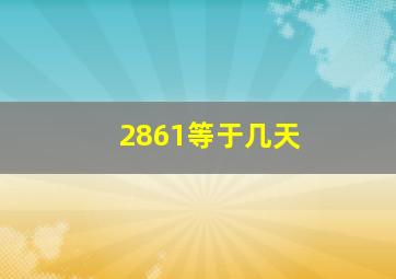 2861等于几天