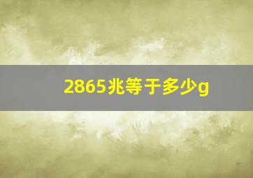 2865兆等于多少g