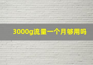 3000g流量一个月够用吗