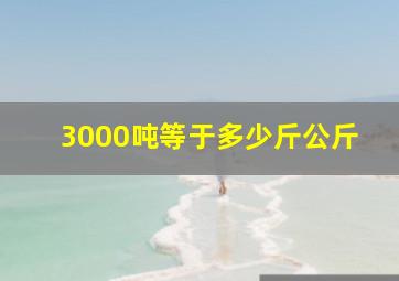 3000吨等于多少斤公斤