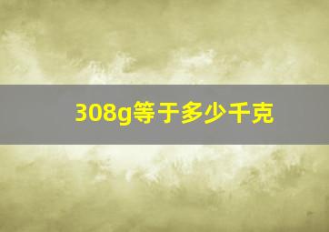 308g等于多少千克