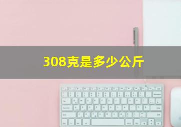 308克是多少公斤