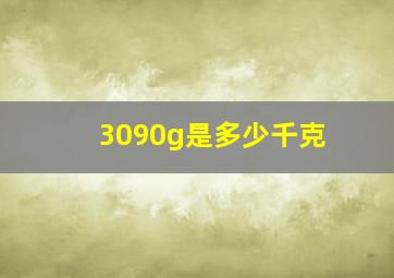 3090g是多少千克