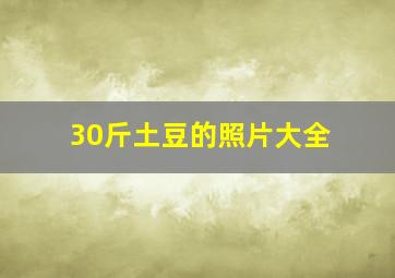 30斤土豆的照片大全