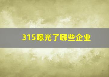 315曝光了哪些企业