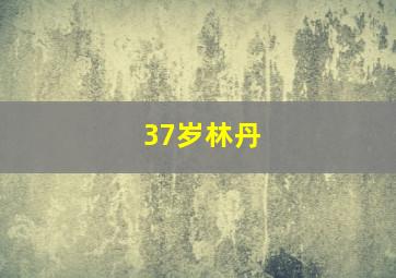 37岁林丹