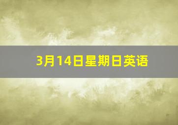 3月14日星期日英语