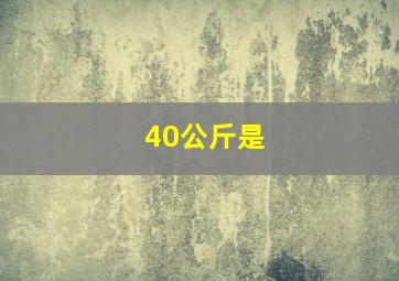 40公斤是