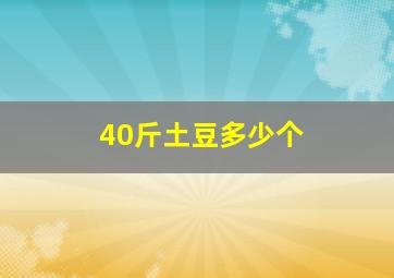 40斤土豆多少个