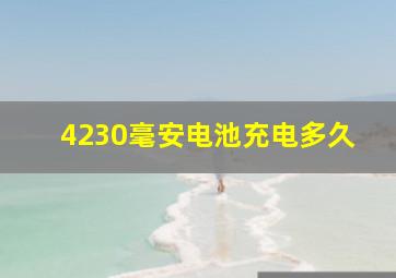 4230毫安电池充电多久