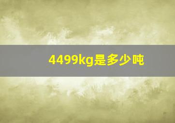 4499kg是多少吨