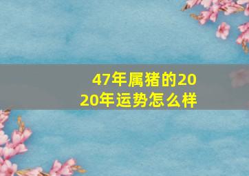 47年属猪的2020年运势怎么样