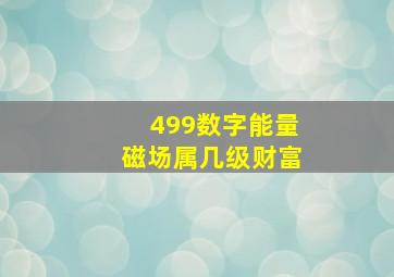 499数字能量磁场属几级财富