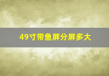 49寸带鱼屏分屏多大