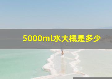 5000ml水大概是多少