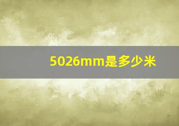 5026mm是多少米