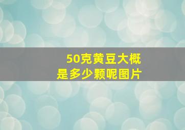 50克黄豆大概是多少颗呢图片