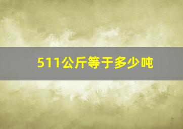 511公斤等于多少吨