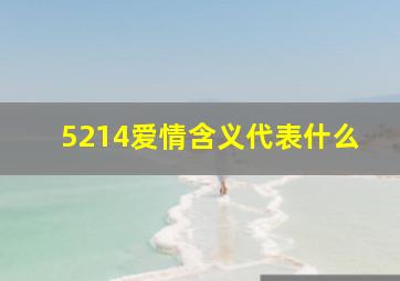 5214爱情含义代表什么