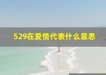 529在爱情代表什么意思