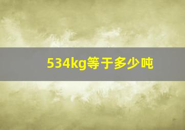 534kg等于多少吨