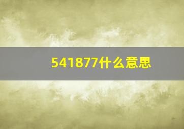 541877什么意思