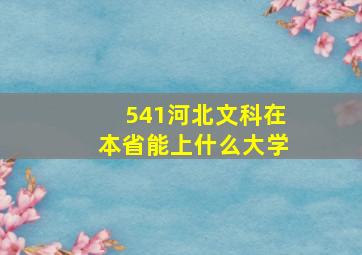 541河北文科在本省能上什么大学