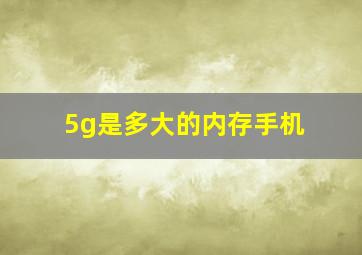 5g是多大的内存手机