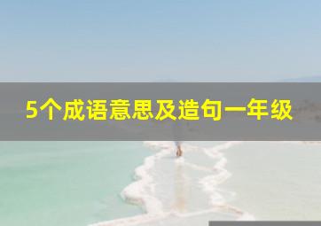 5个成语意思及造句一年级