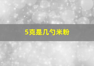 5克是几勺米粉