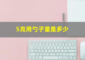 5克用勺子量是多少